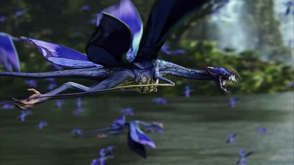 movie frame