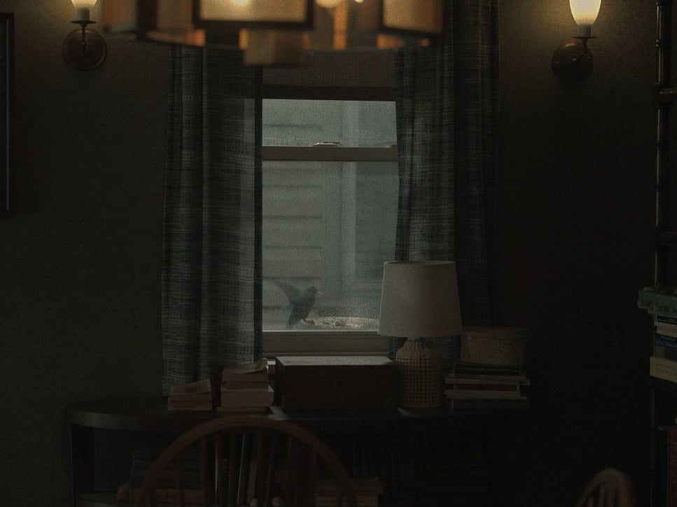 movie frame