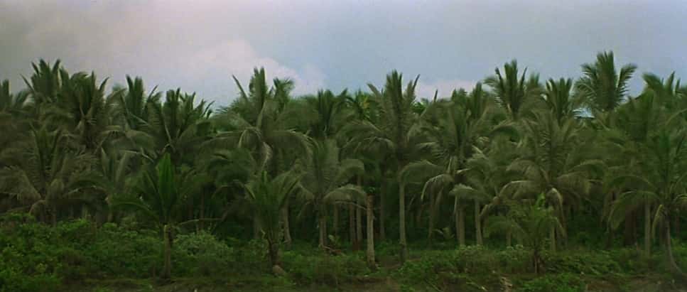 movie frame